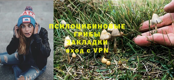 прущая мука Абдулино