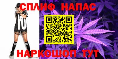 крисы Сланцы