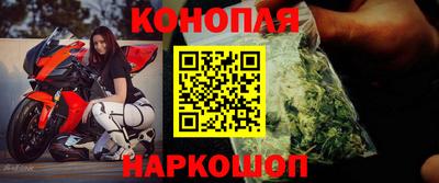 крисы Сланцы