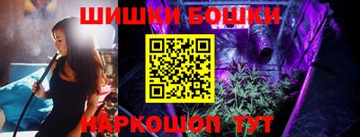 крисы Сланцы