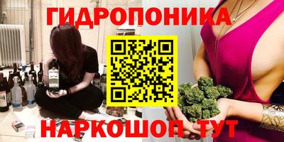 крисы Сланцы