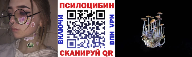 blacksprut как зайти  Приморско-Ахтарск  Галлюциногенные грибы прущие грибы 