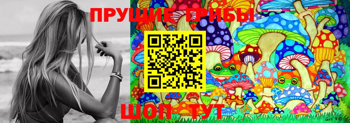 Приморско-Ахтарск  Галлюциногенные грибы Psilocybine cubensis  Вход с VPN 