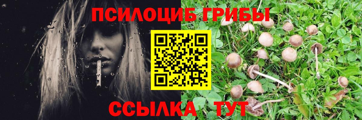 Галлюциногенные грибы GOLDEN TEACHER Приморско-Ахтарск